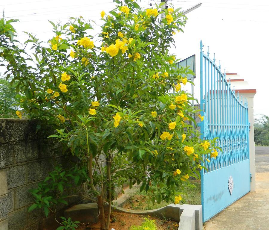 Stella Maris B&B Kanjakumari Kültér fotó